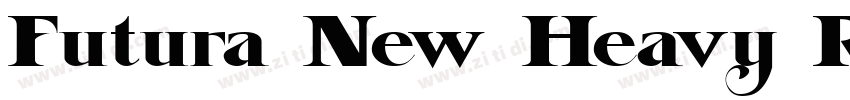 Futura New Heavy Reg字体转换